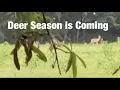 Preparing For Bow Season