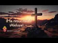 Bishop Edward M Lohse offers his Easter Message en Espanol 2026