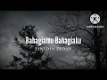 Download Lagu Bahagiamu Bahagiaku - Zinidin Zidan (lirik)