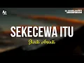 Download Lagu Sekecewa itu - Shinta Arsinta (LIRIK)