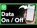 How To Turn Cellular Data On Or Off For iPhone