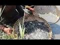 Download Lagu VENOMENA ALAM!!!Terang gelantang jutaan  ikan terjebak disini// Pak TUSLIM auto TUMBANG
