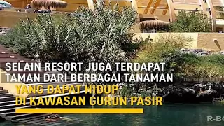 oase padang pasir yang sangat indah on the spot trans 7 terbaru 20 desember 2017