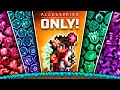 Can you Beat Terraria with Only Accessories