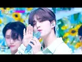 Download Lagu SEVENTEEN (세븐틴) - 달링(Darl+ing) 교차편집 [Stage Mix]