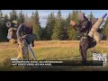 Download Lagu Börtönbüntetést kaphat aki a kényszersorozás miatt szökést kísérel meg Ukrajnából