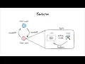 Understanding multi-agent handoffs