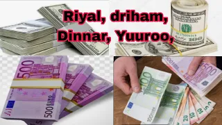 Jijjiirraa Mallaaqa Kan Guyyaa Hardhaa November 8 11 2025 