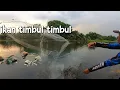 Lagu AKIBAT KEBANJIRAN IKAN TIMBUL BESAR2 #jala 