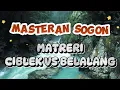 Download Lagu Terapi burung sogon dan masteran sogon materi ciblek kristal sambung belalang