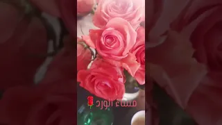 تصويري ورداتي يا مساء الورد يا بدع الورد حالات واتساب مسائية 