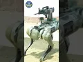 China s military unveils robot dogs armed with rifles