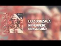 Luiz Gonzaga - No Meu Pe De Serra/Baiao (Áudio Oficial)