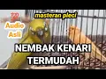 Download Lagu BUKTIKAN❗❗❗paling gampang masuk masteran kenari ini ke pleci | masteran pleci nembak kenari panjang