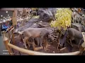 Entering Cabela s Sports Shop in East Hartford CT - March 25 2022