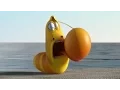 Download Lagu LARVA | LARVA OUT AT SEA | Videos For Kids | LARVA Full Episodes