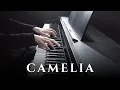 Download Lagu Camelia - Juan Arenosa (Piano Cover)
