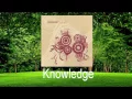 Download Lagu Nazeel Azami - Knowledge