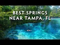 11 Springs Within Driving Distance Of Tampa FL Perfect Day Trips
