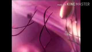 فاصل قناة Art Hekayat القديم 2017 