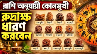কোন রাশির জন্য কোন রুদ্রাক্ষ ধারণ করবেন? Rudraksha for Zodiac Signs!