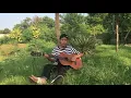 Download Lagu Untukmu sebuah nama - dian piesesha