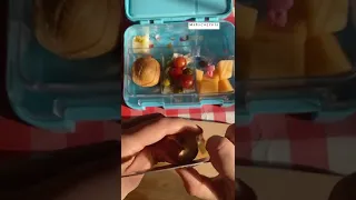 صوفيا تملأ الفراغ بالطعام المناسب  شوفو كيف طلع ال لانش بوكس    دندنها