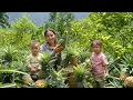 Download Lagu Harvesting giant pineapples to sell at market with little daughter - taking care of sick pigs
