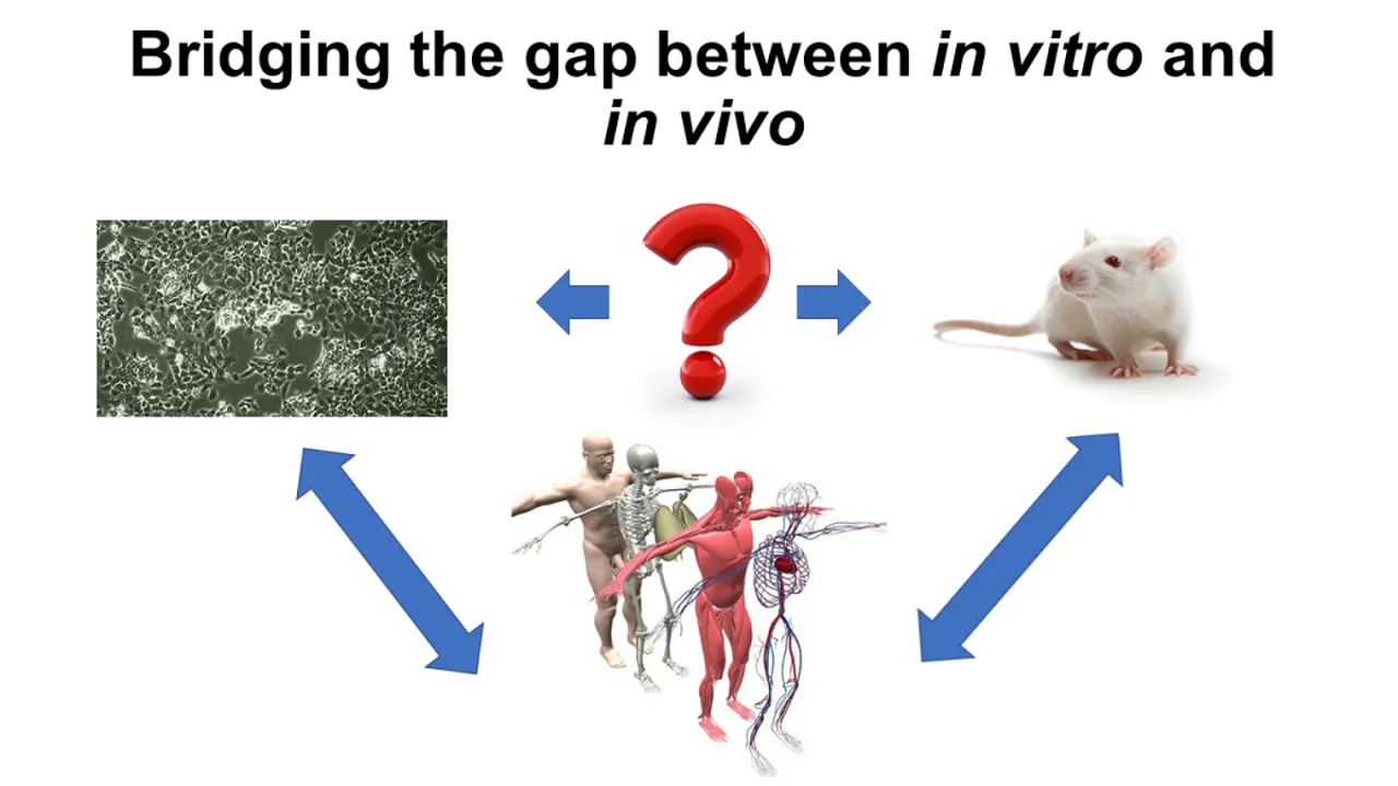 Turning to a new dimension in cell culture for cancer research