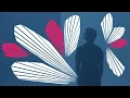 Kygo - Stay ft. Maty Noyes (Official Lyric Video)