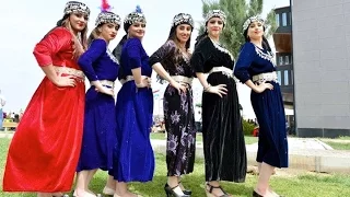                                       دندنها