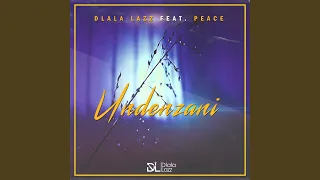 undenzani