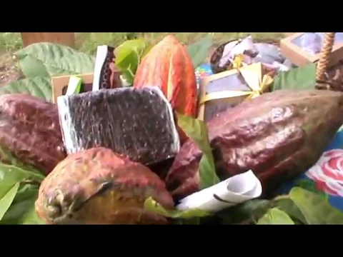 RECEITA DE COCADA DE CACAU