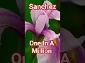 Download Lagu One In A Million, Sanchez #reggae #oldfavourites #nostalgia #sanchez #lovegardening #nature