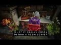 The Reality of Running a RedM Server - Costs Challenges Transparency