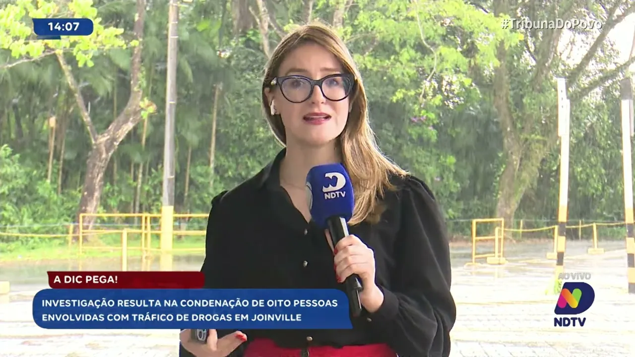 Joinville: Polícia Civil desarticula grupo criminoso especializado em tráfico