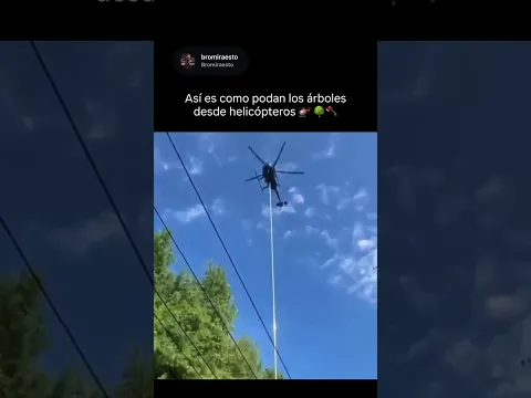 La técnica extrema para podar árboles desde el aire 🚁🌳