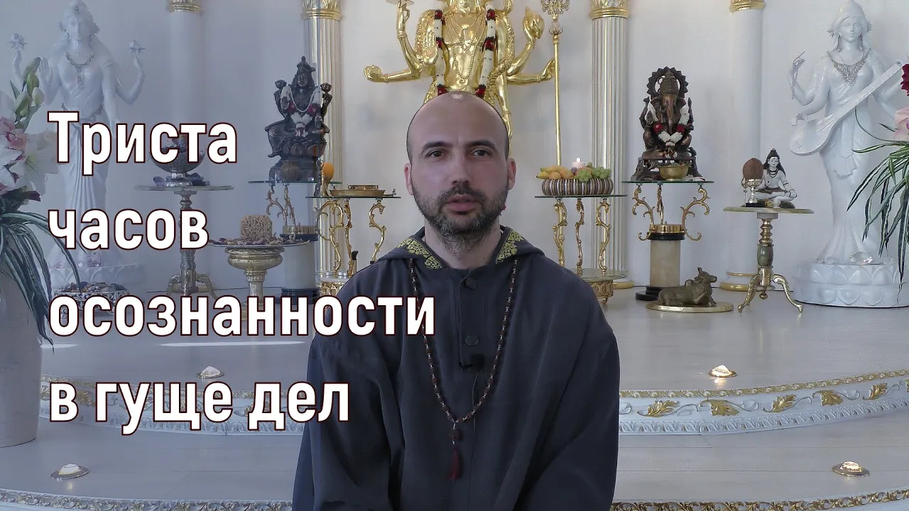 course триста часов осознанности в гуще дел image