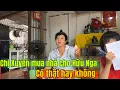 Download Lagu Sự Thật Tin Đồn Chị Xuyến Mua Nhà Cho Con Rể Có Thật Hay Không #minhnhuttv