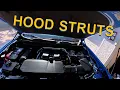Hood Struts for Colorado - Canyon