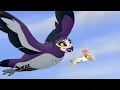 Download Lagu Lion Guard: Height and Sight  full song | Fire from the Sky HD Clip
