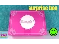 Doki Doki Japan Crate August 2016 Kawaii Box Back To School Opening PSToyReviews