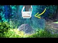 Download Lagu WHAT IF 1000 COCKROACHES RELEASED IN LARGE ANTHILL IN A TRANSPARENT CUBE? VERSUS ANTS
