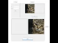 How to Open one JFrame from another in java swing and moves an image from a label to another label