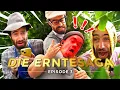 Download Lagu Die Erntesaga 2025 | Das Finale