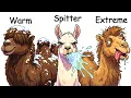 Every Camel Explained in 20 Minutes