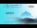 แขกขาว - Khaek Khao // นิก กอไผ่ : Nik Ko Phai
