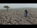 Download Lagu Taylor Swift, Maren Morris - You All Over Me (Wuthering Heights Music Video)