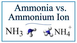 Ammonia vs the Ammonium Ion NH3 vs NH4