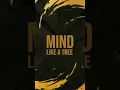 Download Lagu Scorpions From The First Sting - Mind Like A Tree